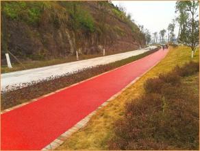 廣安深廣大道2萬平米人行騎道a